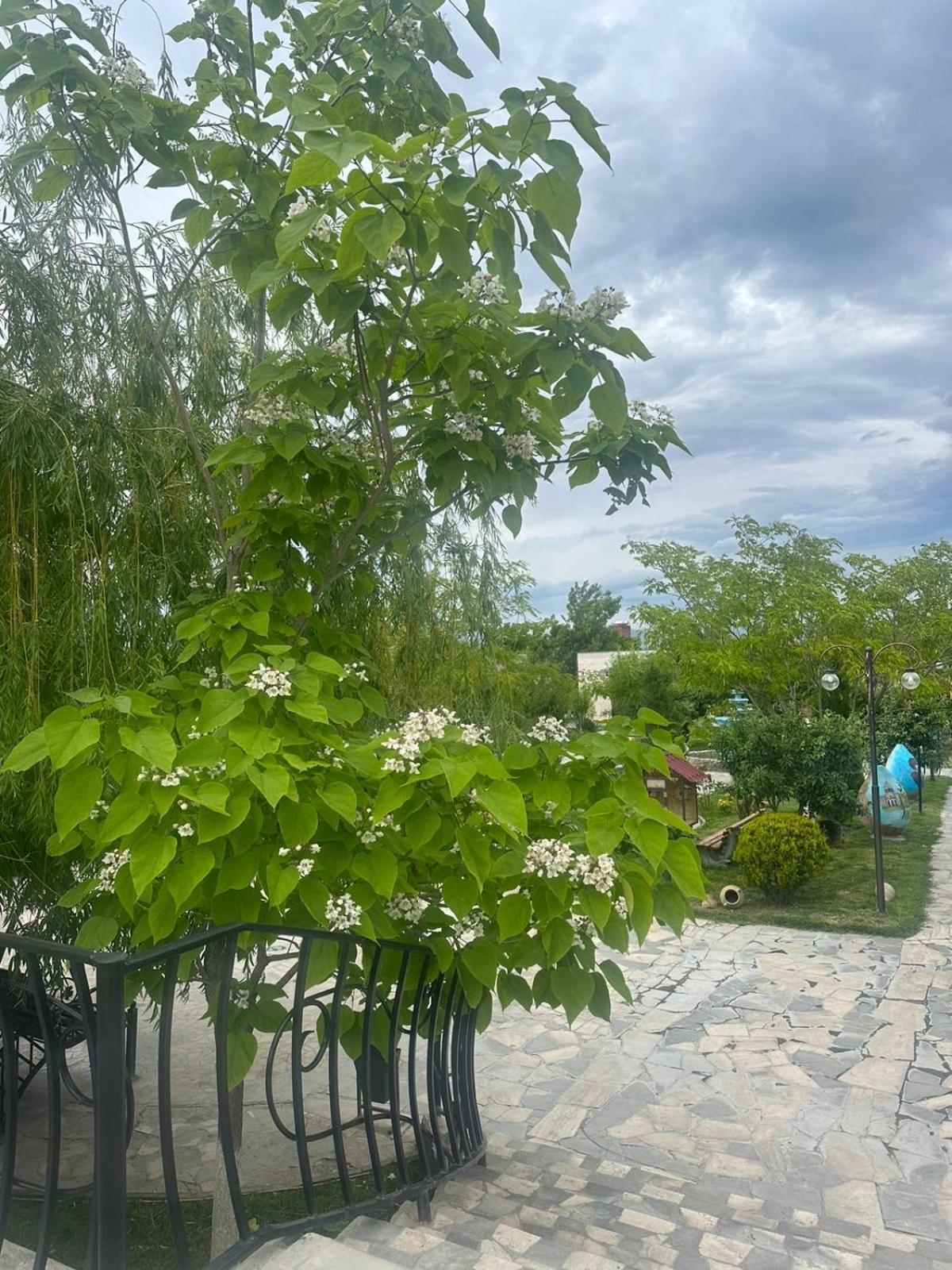 Ralina Restaurant And Hotel Davalinskiy Tsemzavod Екстериор снимка